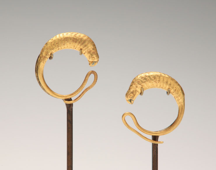 Earrrings