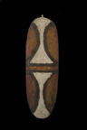 Fighting shield