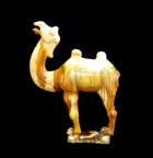 Glazed Camel