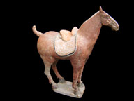 Ferghana Horse