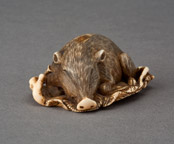 Netsuke of a boar