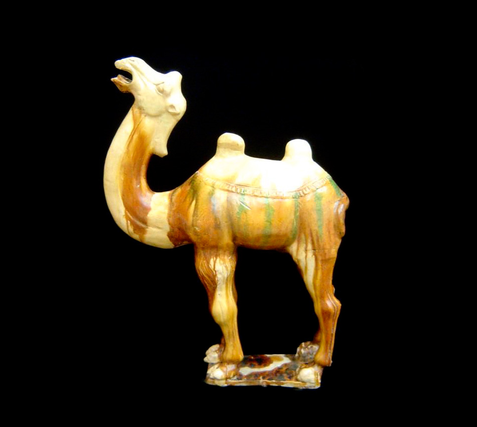 Sancai Glazed Camel with Head Raised