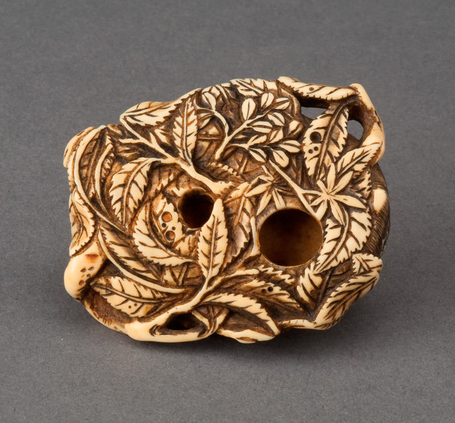 Ivory netsuke of a boar sleeping on a bed of leaves